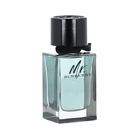 Burberry Mr. Burberry Apă de toaletă tester pentru bărbați 100 ml