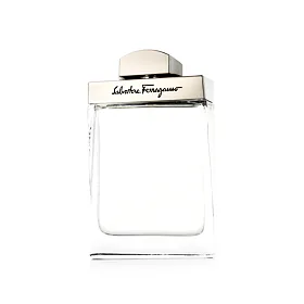 Ferragamo Pour Homme Apă de toaletă pentru bărbați 100 ml