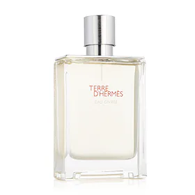 Hermes Terre d´Hermès Eau Givrée Apă de parfum pentru bărbați 100 ml