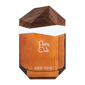 Afnan Paris Oud Apă de parfum pentru femei 100 ml